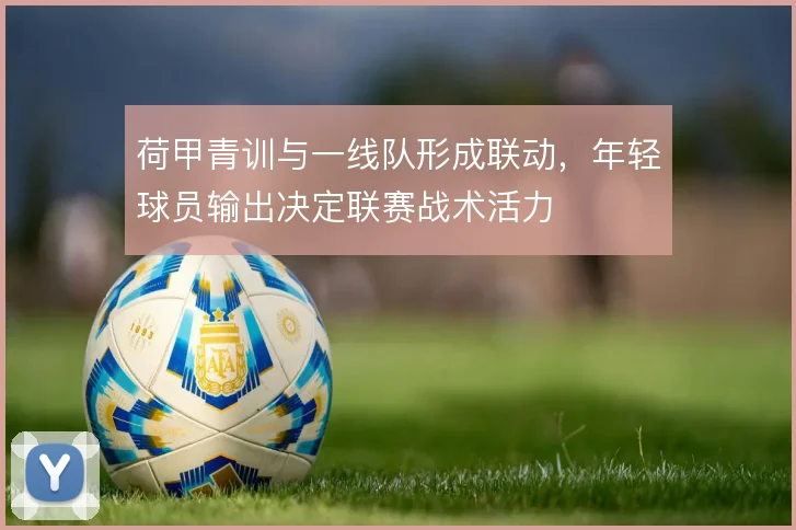 荷甲青训与一线队形成联动,年轻球员输出决定联赛战术活力