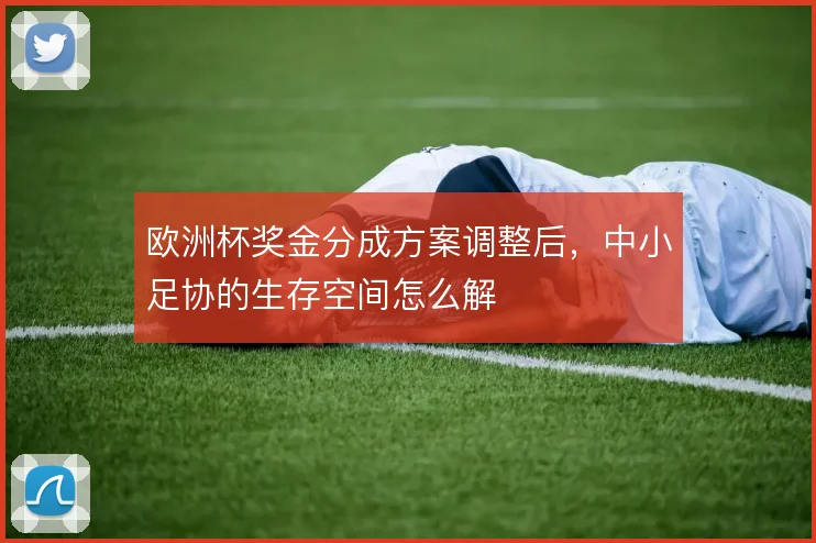 欧洲杯奖金分成方案调整后，中小足协的生存空间怎么解