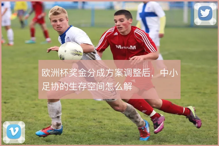 欧洲杯奖金分成方案调整后，中小足协的生存空间怎么解