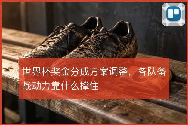 世界杯奖金分成方案调整，各队备战动力靠什么撑住